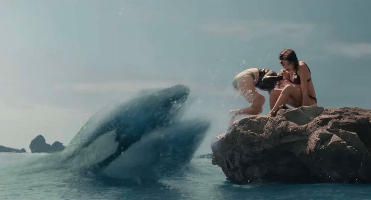 Ballena Asesina : Foto Virginia Gardner