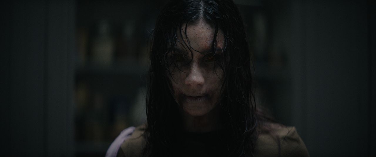Evil Dead: En Llamas : Foto Luciane Buchanan