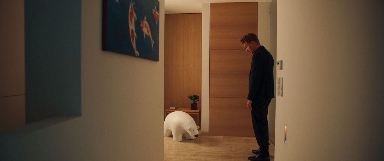 Peacock : Foto Albrecht Schuch