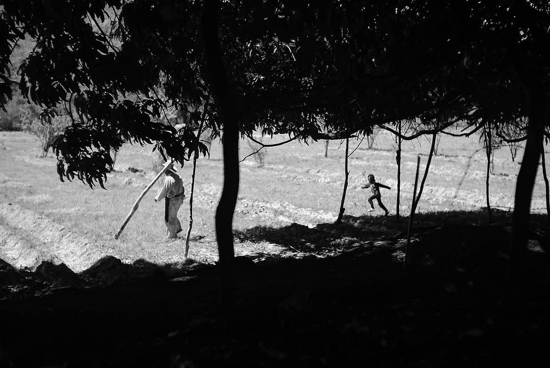 Los amantes se despiden con la mirada : Foto