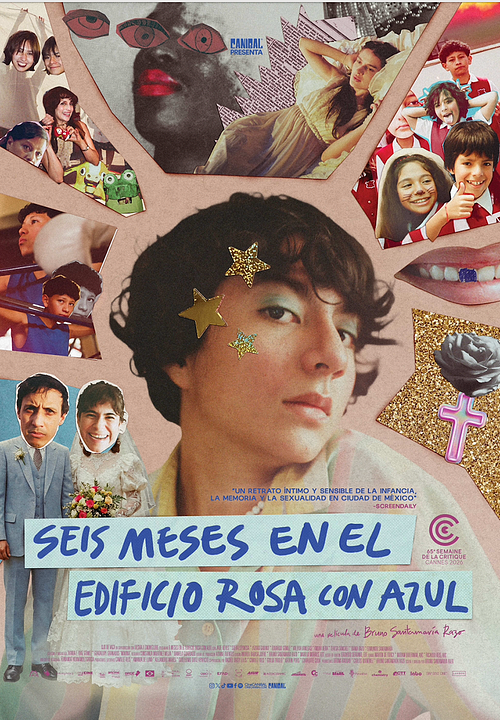 6 Meses en el edificio rosa con azul : Póster