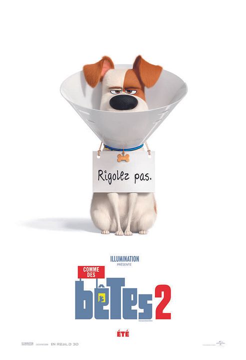 La vida secreta de tus mascotas 2 : Póster