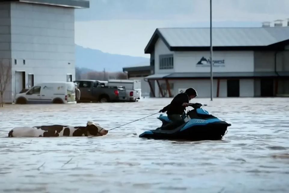 The Here Now Project : Foto