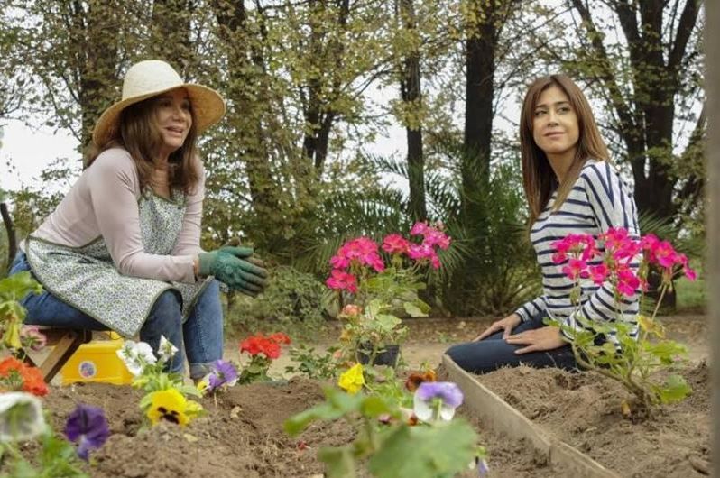 Lo que nunca nos dijimos : Foto