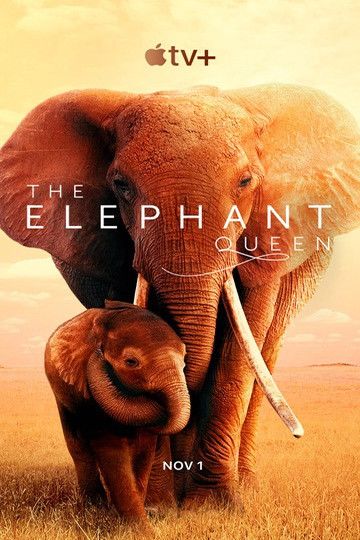 The Elephant Queen : Póster