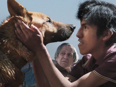 El ladrón de perros : Foto Franklin Aro Huasco, Alfredo Castro