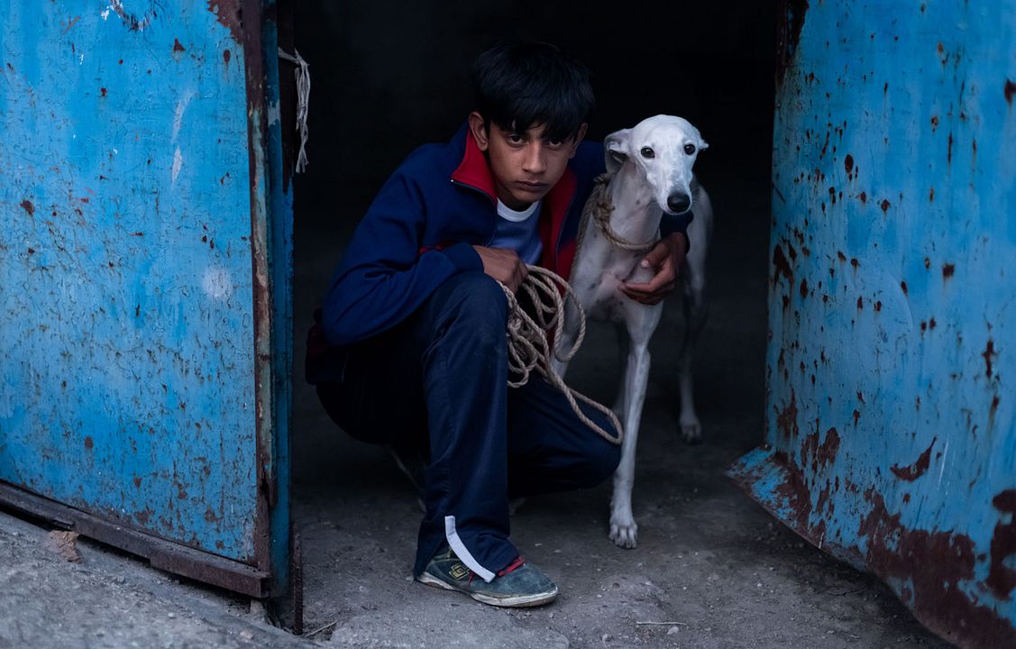 Ciudad sin sueño : Foto Antonio Fernández Gabarre