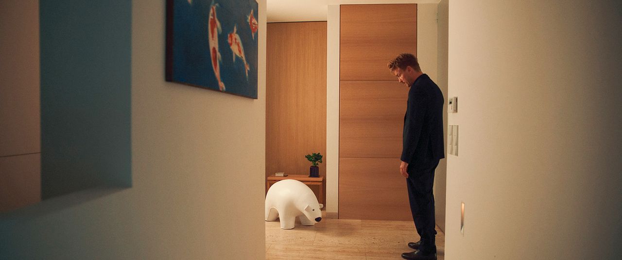 Peacock : Foto Albrecht Schuch