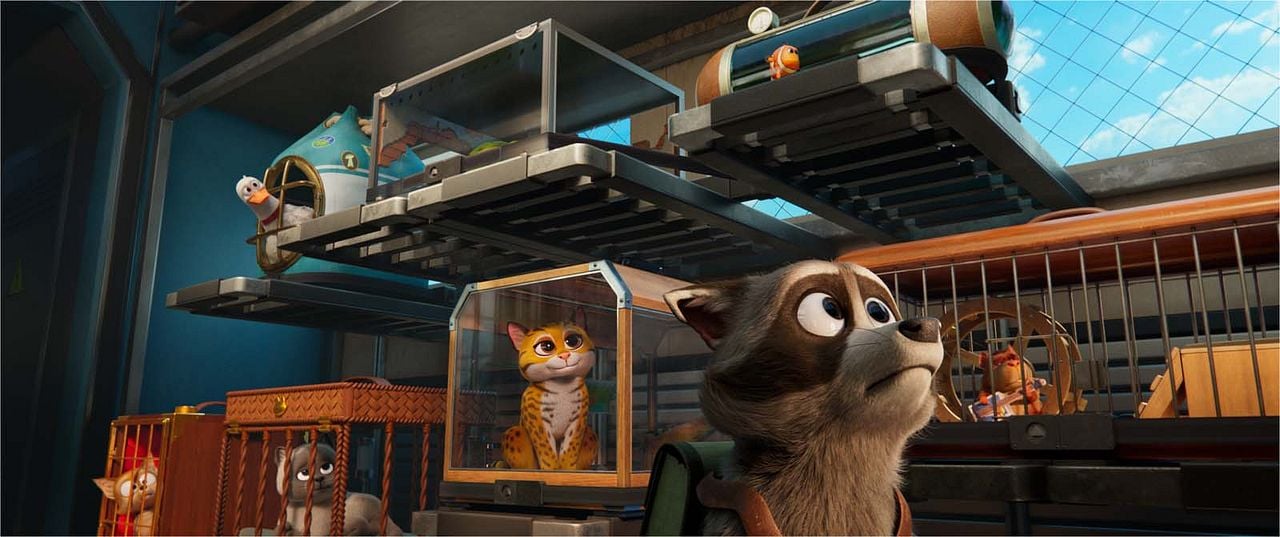 Mascotas al rescate : Foto