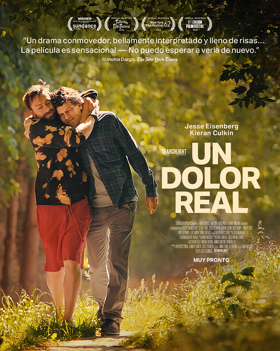 Un dolor real : Póster