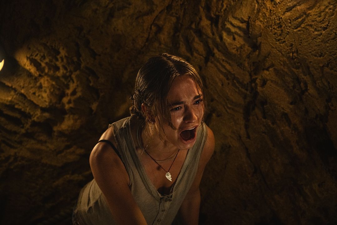 Primate : Foto Johnny Sequoyah