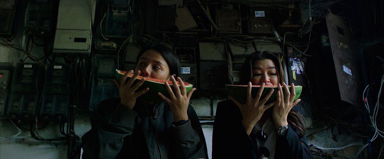 What Happened to the Wolf? : Foto