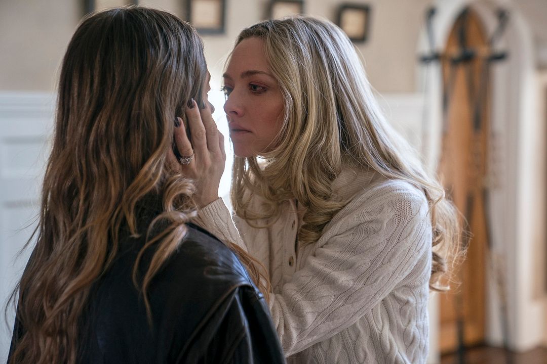La empleada : Foto Amanda Seyfried
