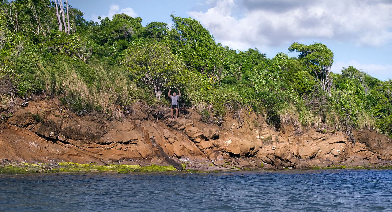 Las cuatro estaciones : Foto Steve Carell