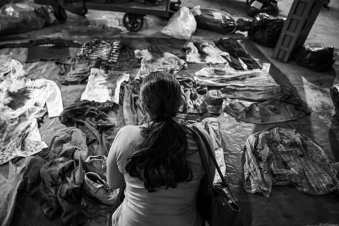 Arillo de hombre muerto : Foto