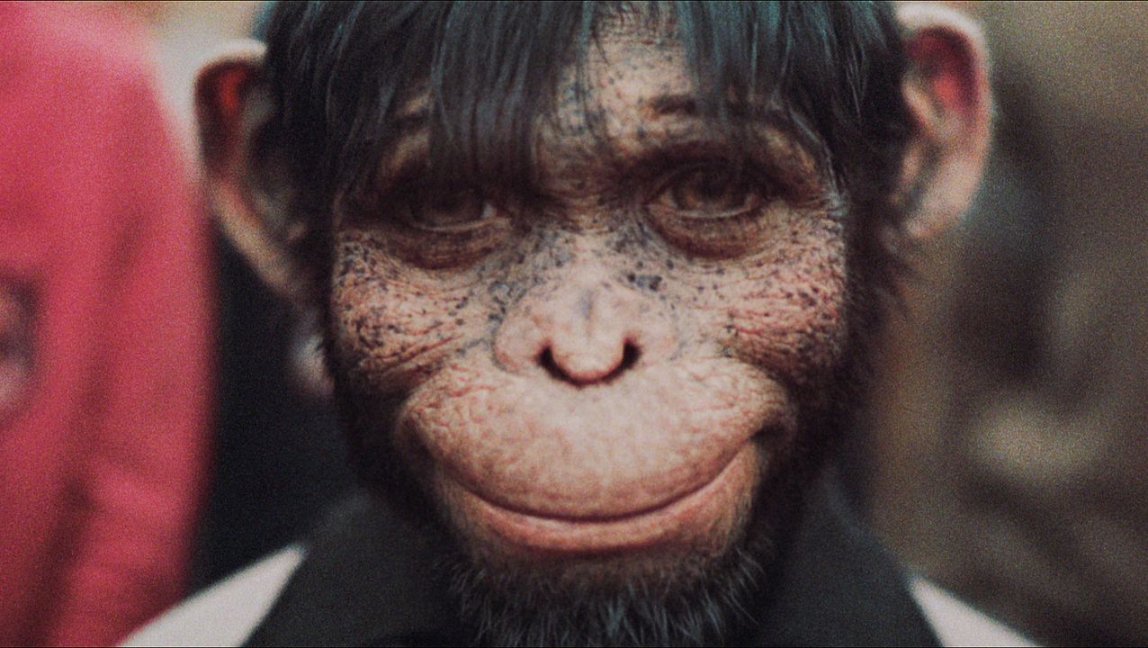 Better Man: La Historia De Robbie Williams : Foto