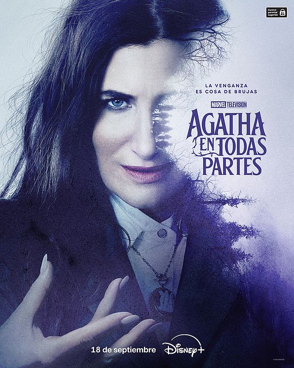 Agatha en todas partes : Póster