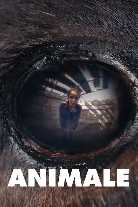 Animale : Póster