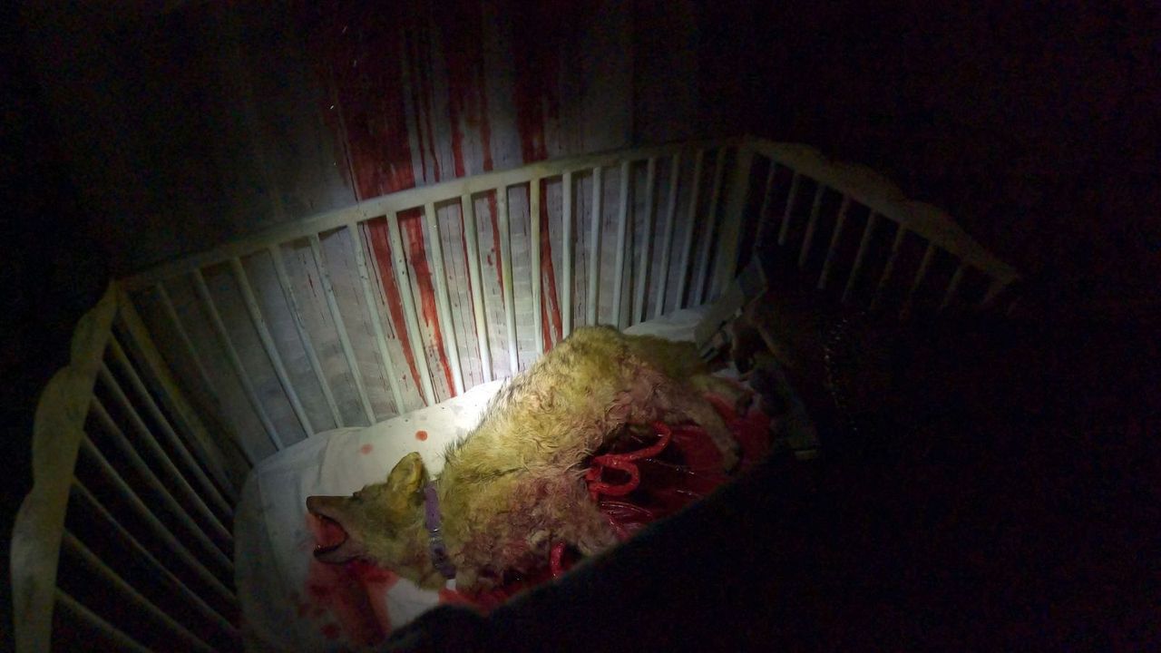 911 llamada infernal : Foto