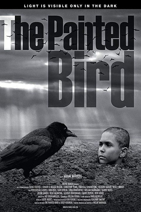 The painted bird : Póster