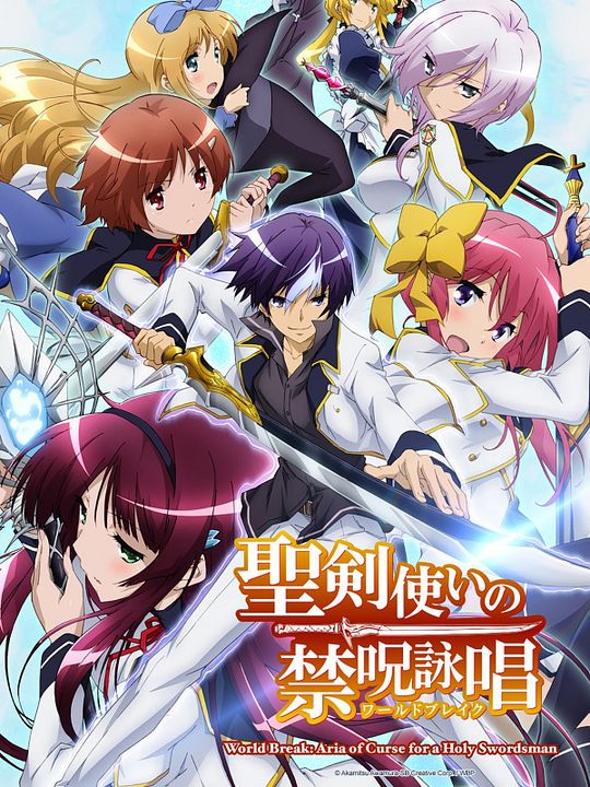 Seiken Tsukai no World Break : Póster