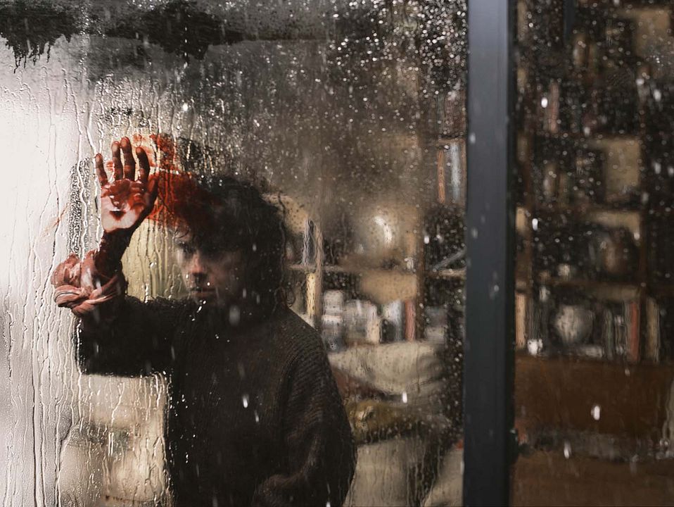 Haz Que Regrese : Foto Sally Hawkins