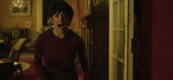 Jugaremos en el bosque : Foto