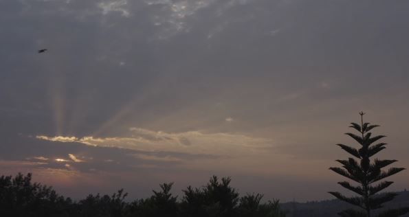 April Tragedy : Foto