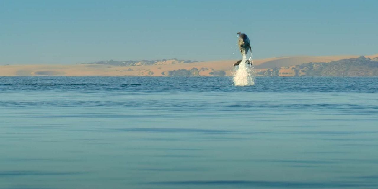 Nuestros océanos : Foto