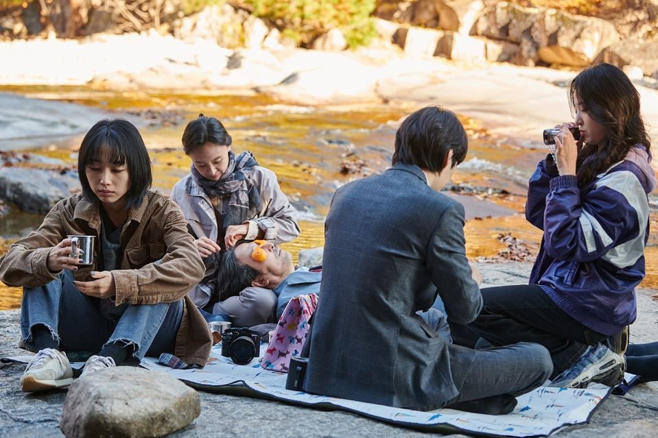 Silver Apricot : Foto