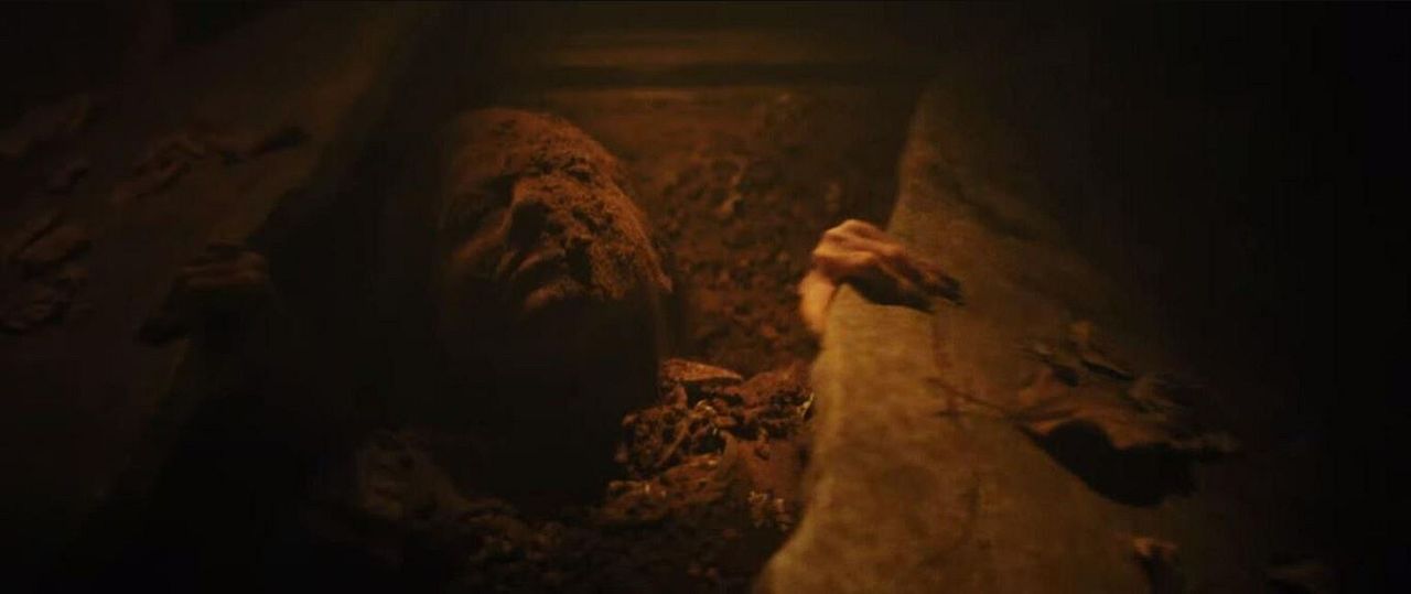 She Loved Blossoms More : Foto