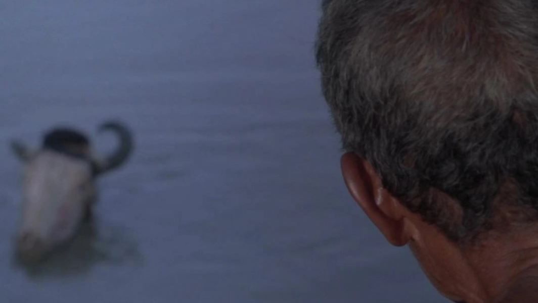 Positivo Negativo : Foto