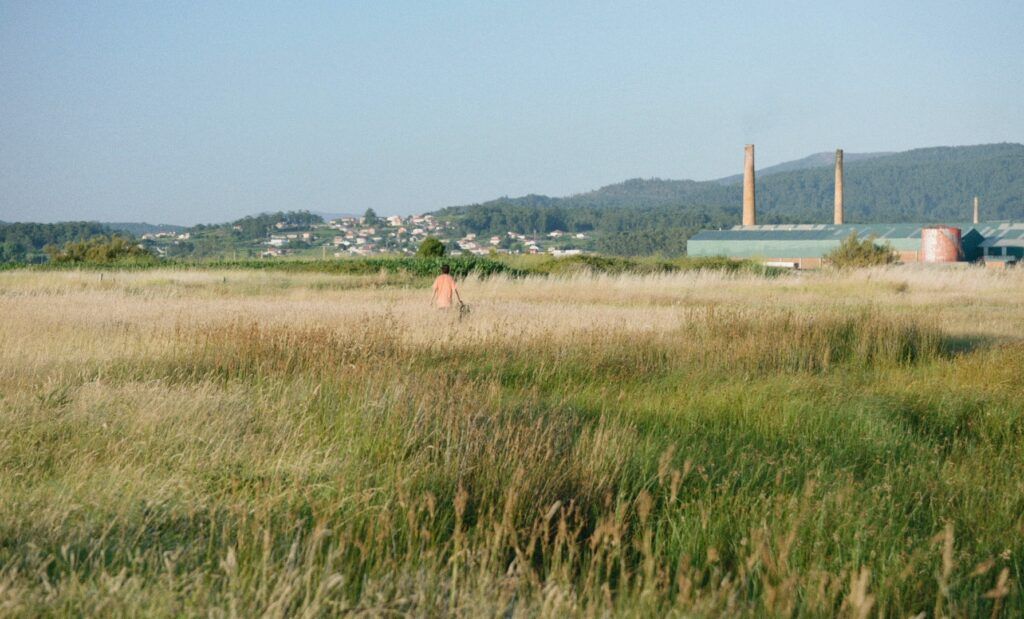 Así llegó la noche : Foto