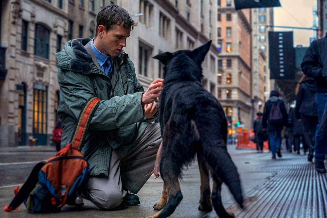 Babygirl: Deseo prohibido : Foto