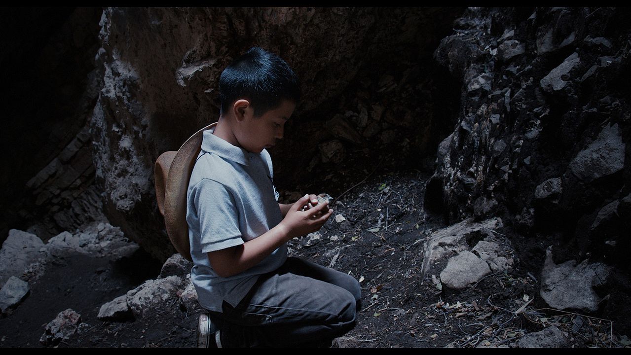 El tiempo de las luciérnagas : Foto