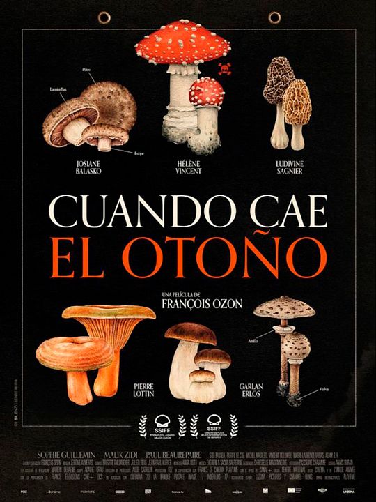 Cuando llega el otoño : Póster