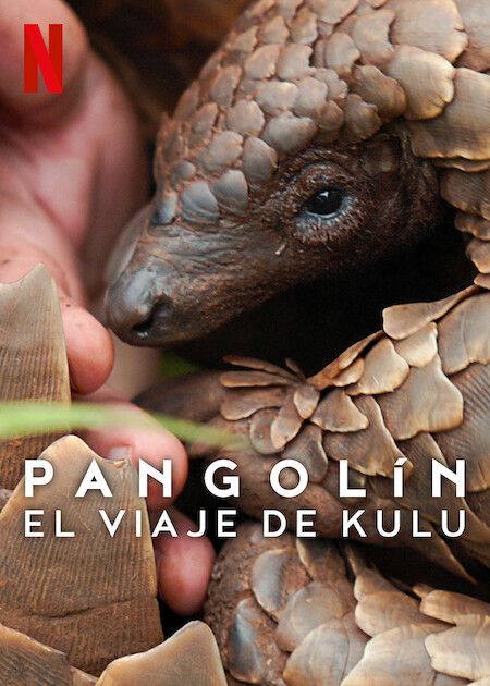 Pangolín: El viaje de Kulu : Póster