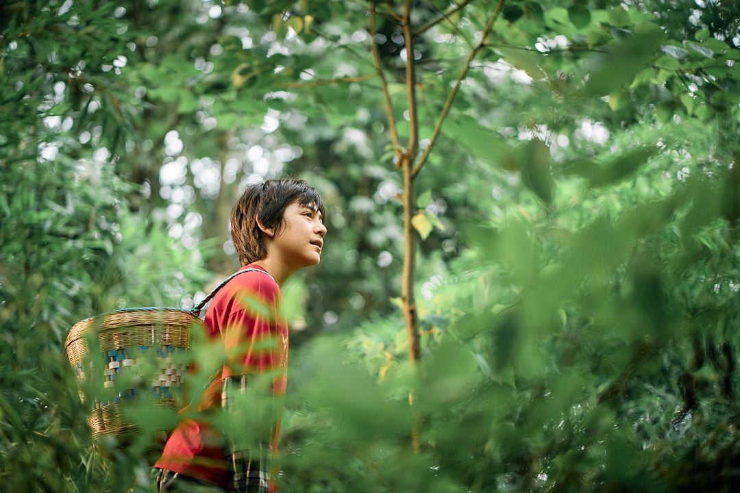 Moon, Mi Amigo El Panda : Foto