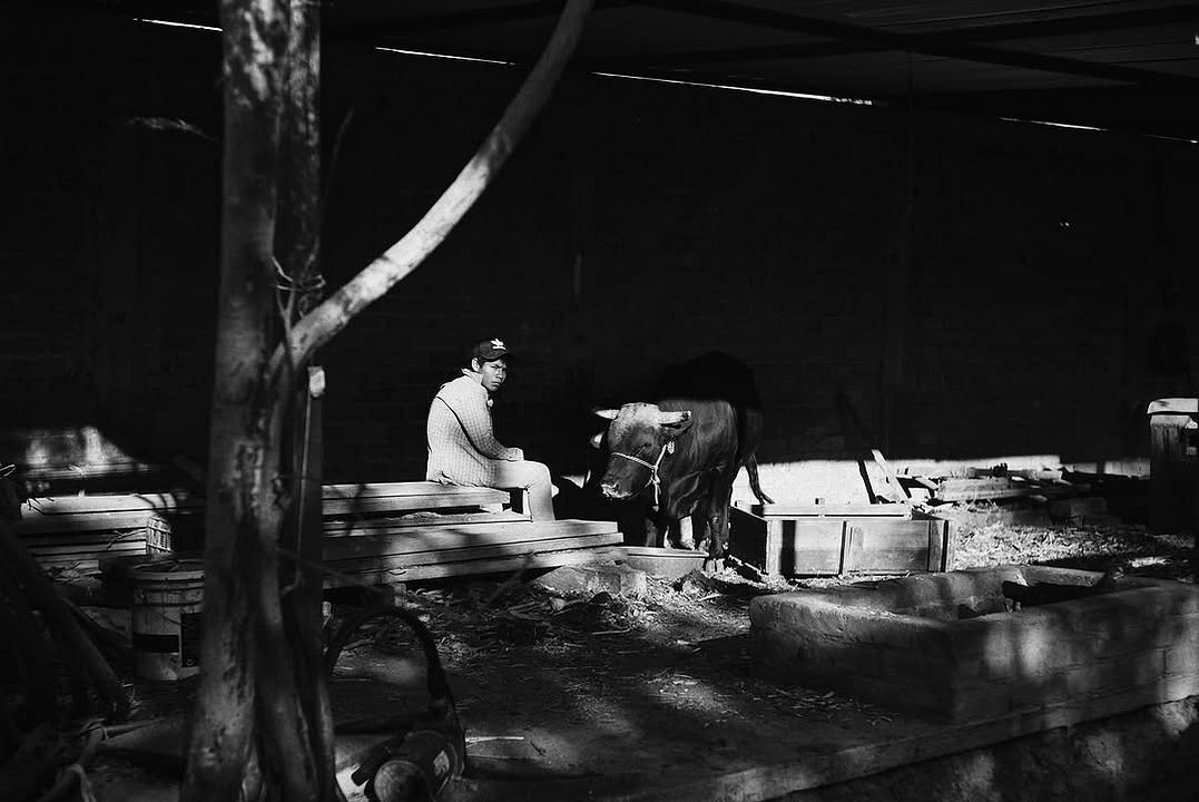 Los amantes se despiden con la mirada : Foto