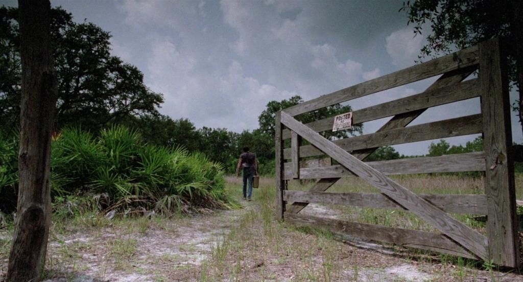 The Enchanted : Foto