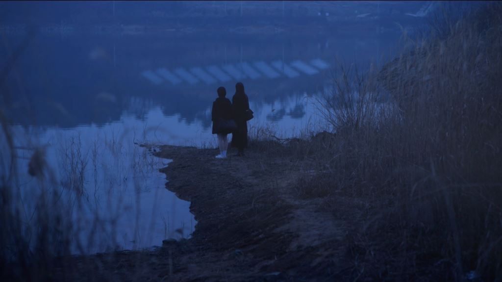 The Waves of Winter : Foto