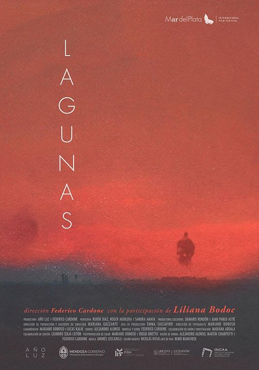 Lagunas : Póster