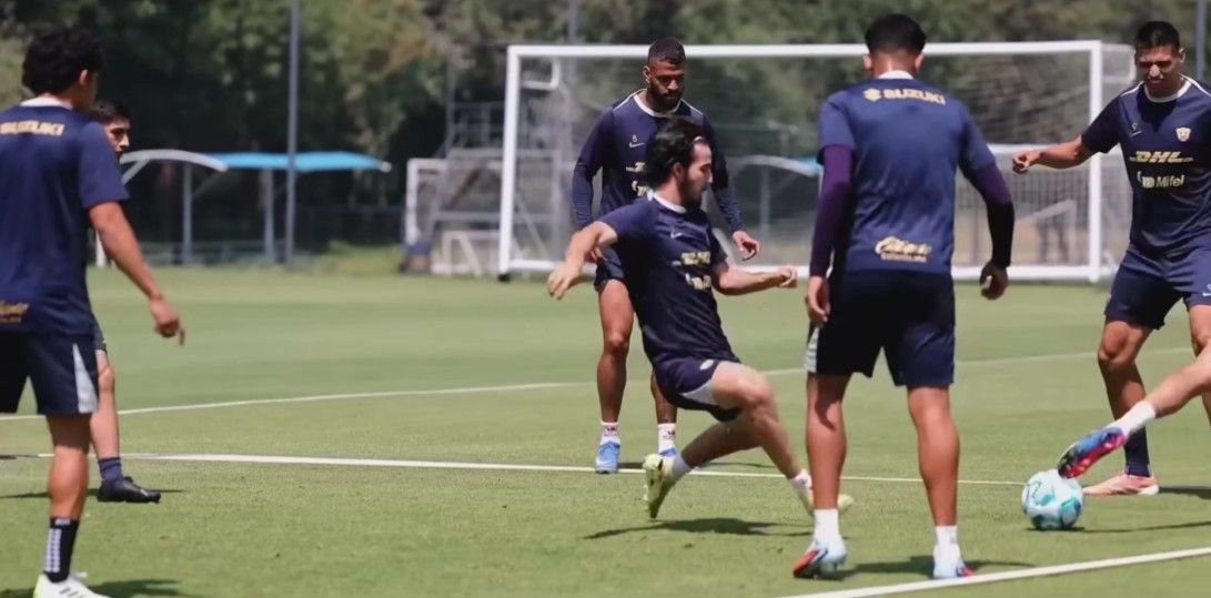 Puma desde la cuna : Foto