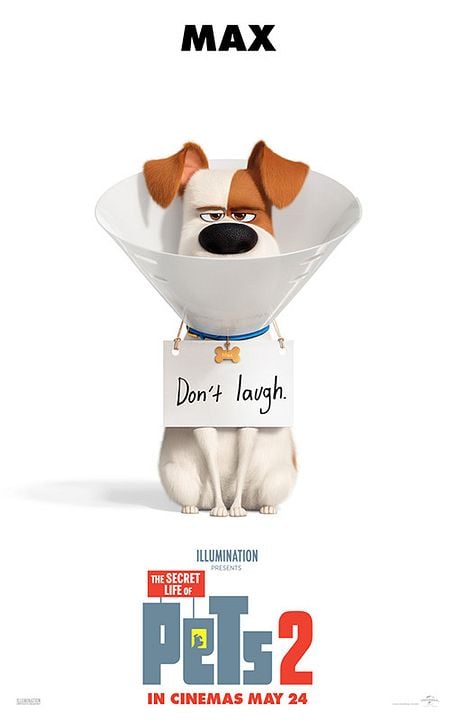 La vida secreta de tus mascotas 2 : Póster