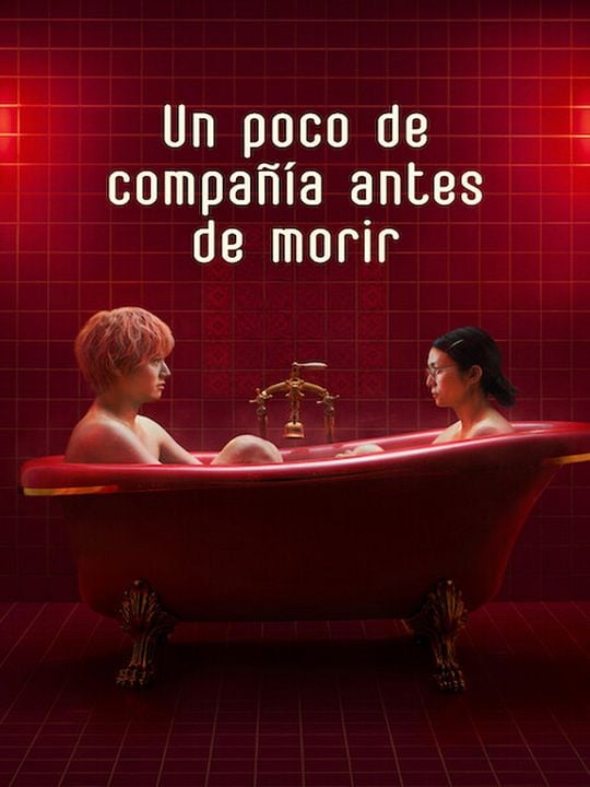 Un poco de compañía antes de morir : Póster