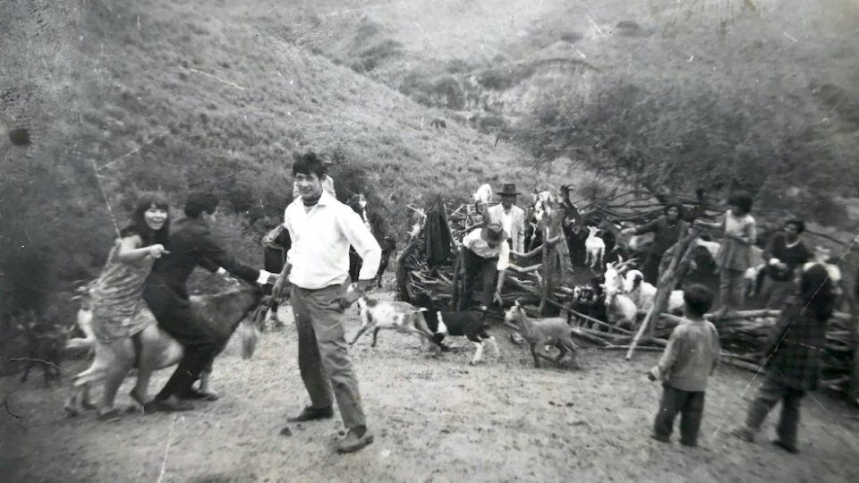 Nuestra Tierra : Foto