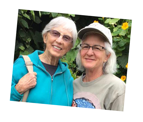 Surviving the Silence : Foto