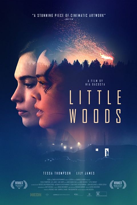 Little Woods : Póster