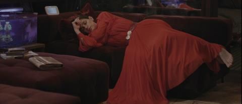 Dante y Soledad : Foto