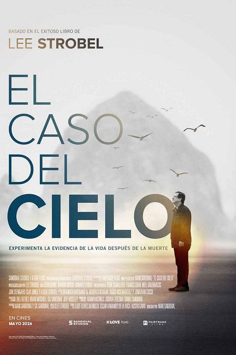 El Caso del Cielo : Póster